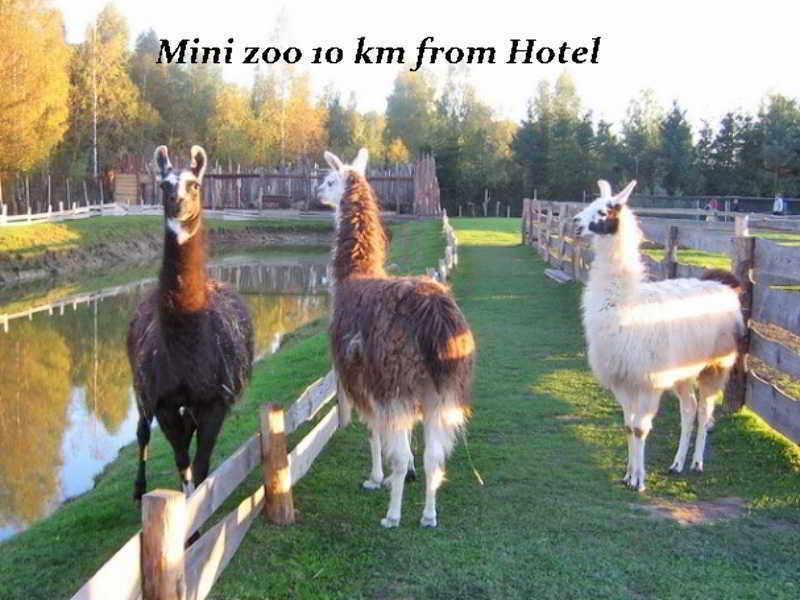 Hotel Pajurio Vieskelis Klaipeda Ngoại thất bức ảnh